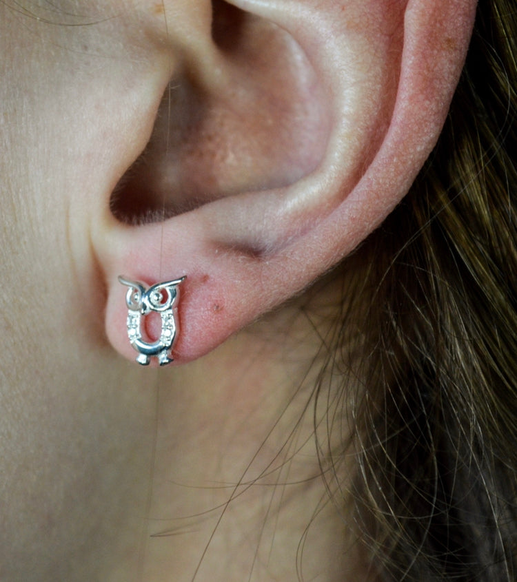 Owl Earrings